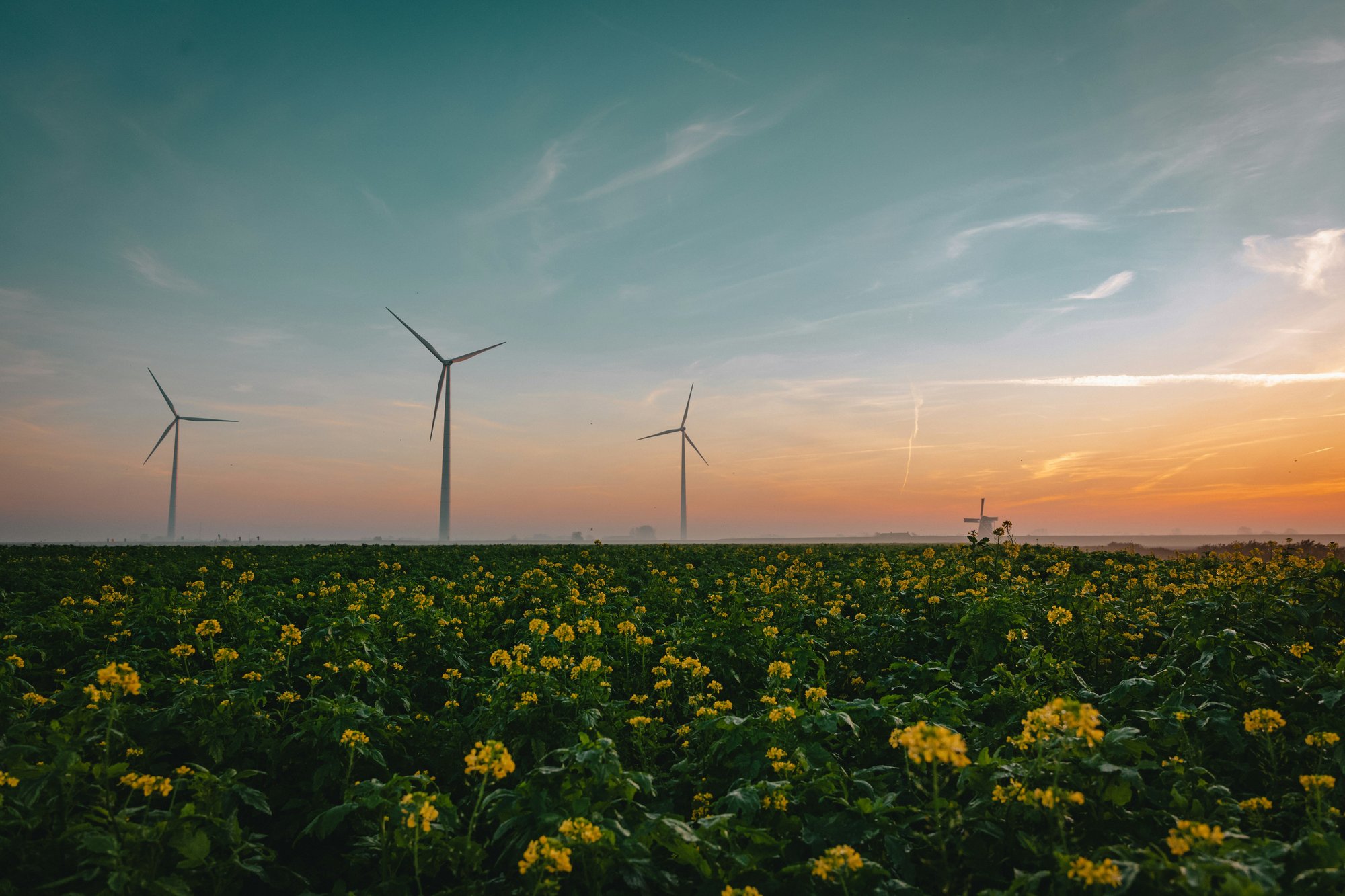 Schönemark Windpark