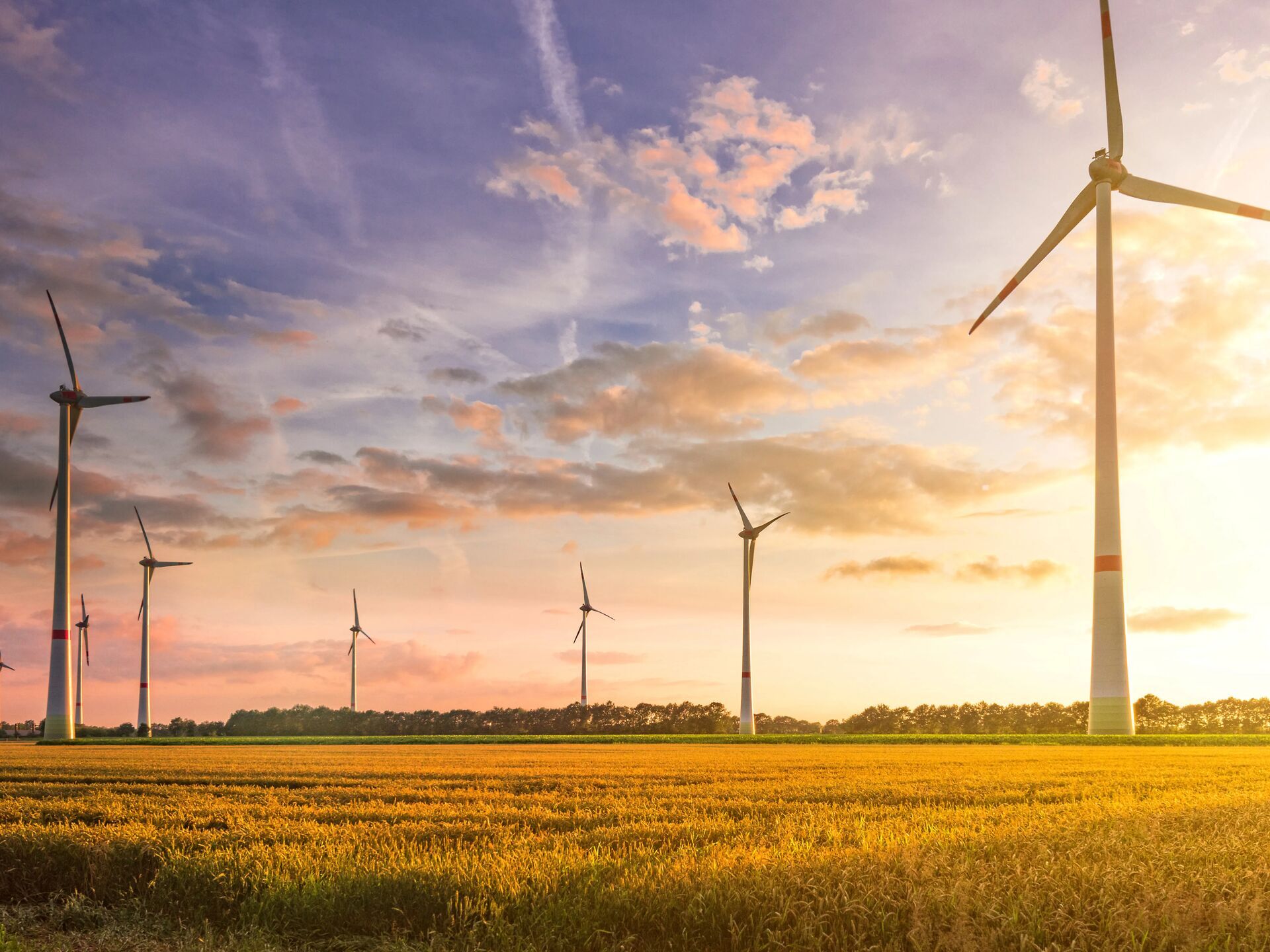 Windpark